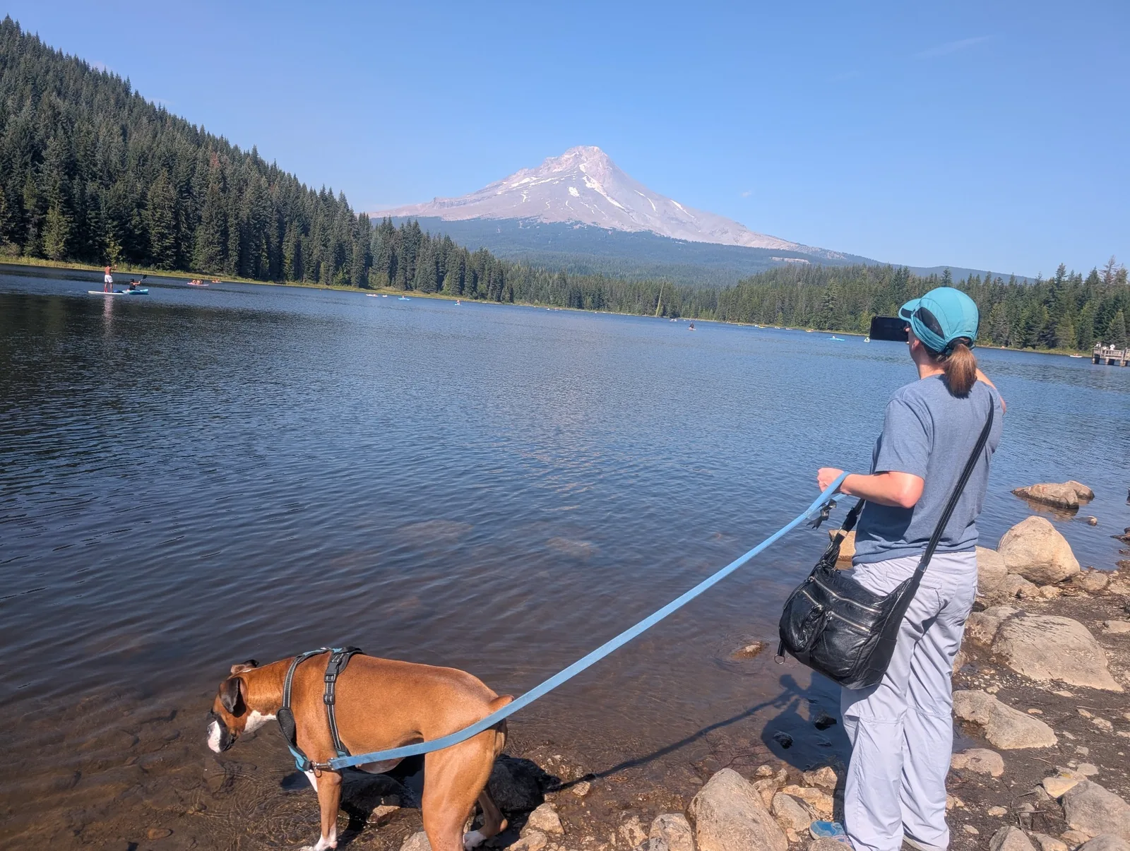 A woman holding Levi the Boxer on a leash at a lakeshore with Mount Hood in the distance.
